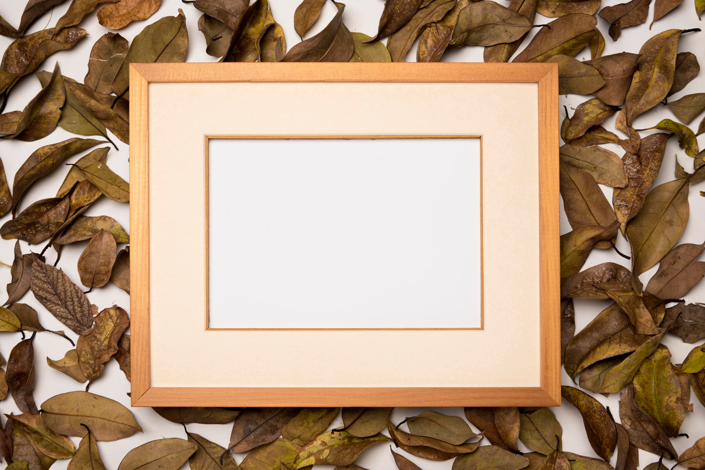 1 Enlarged Photo with 10” x 12” wooden frame